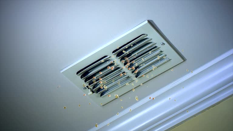 Best Local Air Duct Cleaning Services  in Mexico, MO