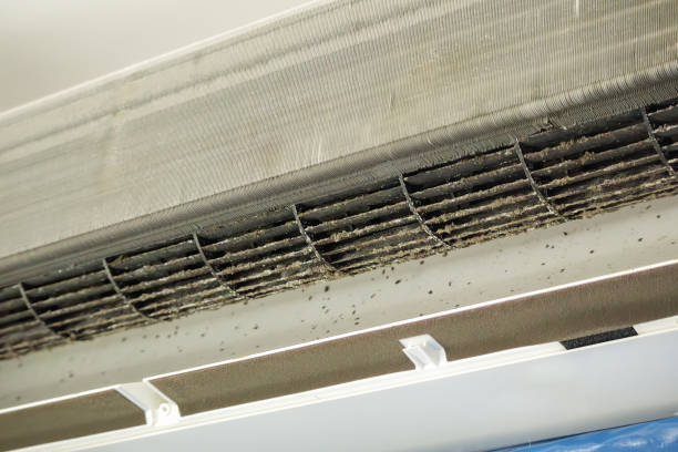 Best HVAC Air Duct Cleaning  in Mexico, MO